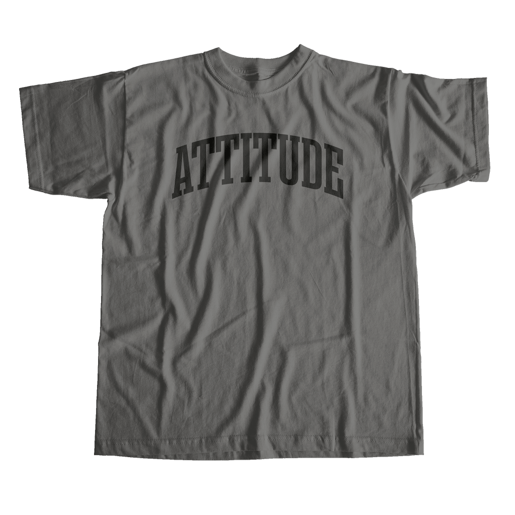 ORIGINS_ATTITUDE